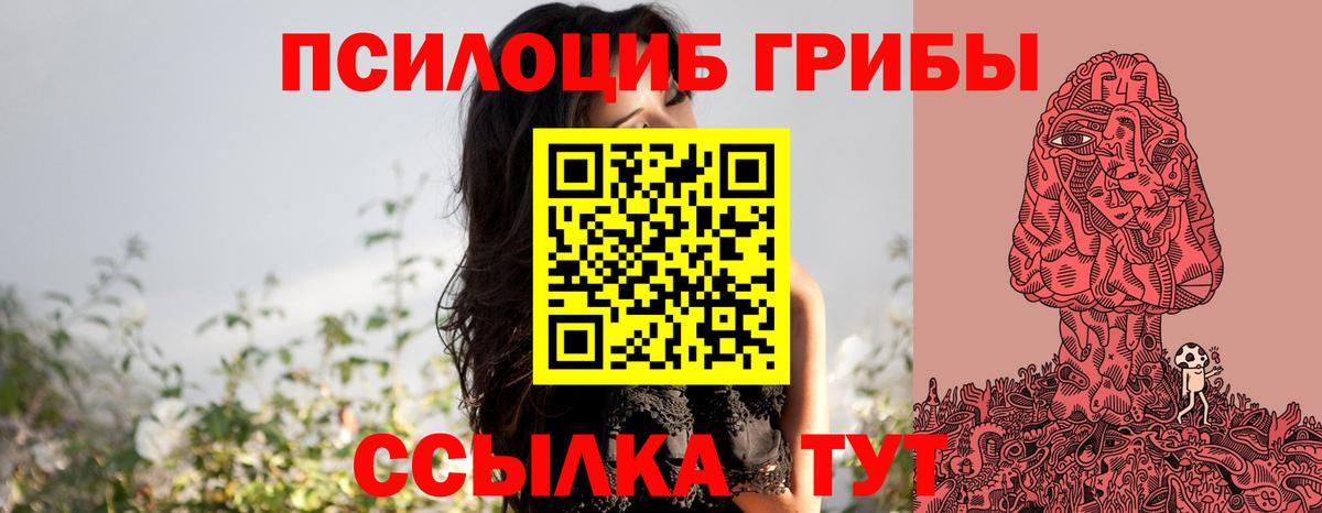 Асино  Псилоцибиновые грибы прущие грибы  Вход с VPN 