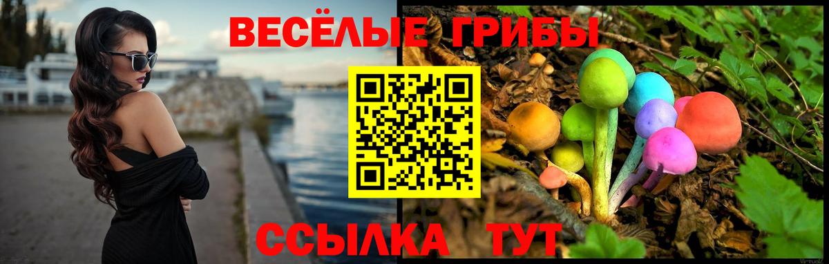 Псилоцибиновые грибы ЛСД Асино